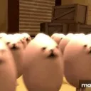 Eggdog Central Discord Server Icon