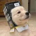 えみ鯖