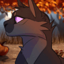 Sproxys Warrior Cats Ecke