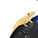 魅月黎の凸待ち用