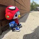 ryno car wash