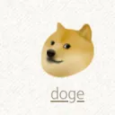 Doges and Dudettes