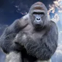 Harambe eSports