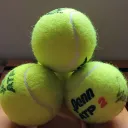 ATP WTA Tennis Fans