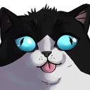 Derpy kitter kingdom