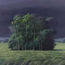 Within the Valley