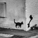 Paranoia Server Icon