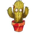Cactoos Cult