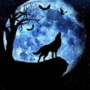 Tenebris Noctem - A Supernatural Roleplay Discord Server Icon