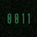 0011