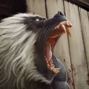 山田'ハウス｢動物園｣