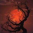 Red Moon Discord Server Icon