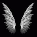 Archangel's Haven