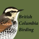 British Columbia Birding