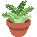 Dyscord