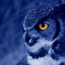 Politics: Need Moderators Server Icon