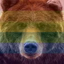 BEARS!!!
