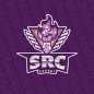SЯC eSports™ icon
