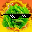 Lechuga Server
