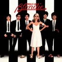 Blondie Server