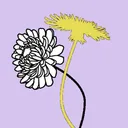 Dandelion Dynasty