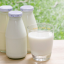 Areolas are Love and Life <3 Discord server icon