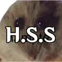 Hampter Speaking Spanish