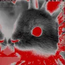BUNNY CULT