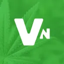 Vice Network