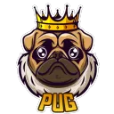 Pug Hub