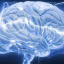 Electrified Brains Discord Server Icon