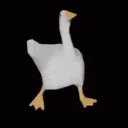 The Ducks & Geese Hub Discord Server Icon