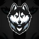 Huskeai's Stream Discord
