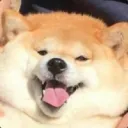 G E K O L O N I S E E R D