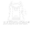 RAIDFINDER®