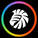 blackzebra™〡Graphic Studio Discord Server Icon