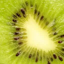 kiwi seeds
