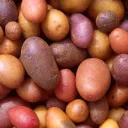 Smashed Potatoes
