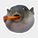 PUFFERFISH  AUGH BGS
