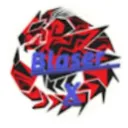 Blaser X team