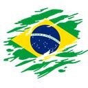 ㄠ • [NB] Novo Brasil RP - SAMP Discord Server Icon