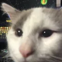 Spidarian Server