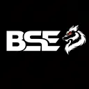 Big Special Esports