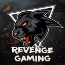 Revenge Gaming