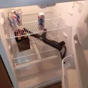 Geladeira com uma AK-47