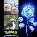 Raptor Birds & Pokémon Fan's/Silver’s Server