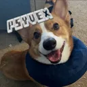 Psyvex Tutorials