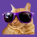 CoolCatAndrew's Garbage Dump