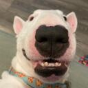 Walter Land Discord Server Icon