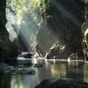 Writers' Cove Discord Server Icon